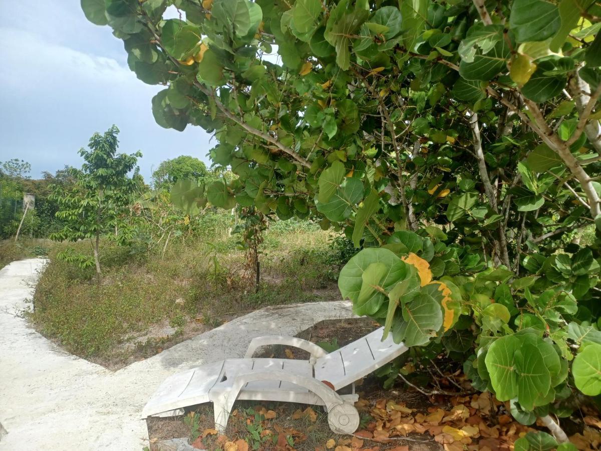 "Le Champs" Des Oiseaux Villa Anse-Bertrand Exterior foto